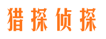 湖滨市侦探调查公司